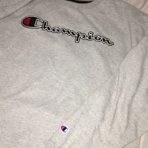 Mens 2xl gray champion pullover